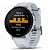 Garmin Instinct 2