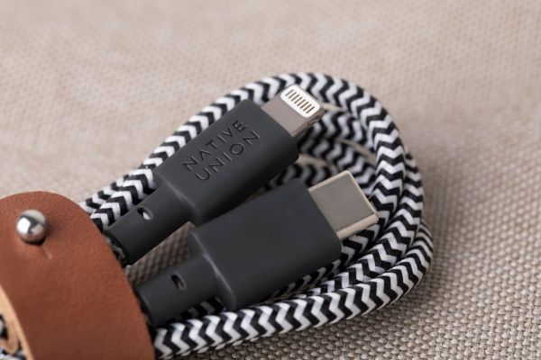 Зарядный провод Native Union C-Lightning 1.2м, зебра